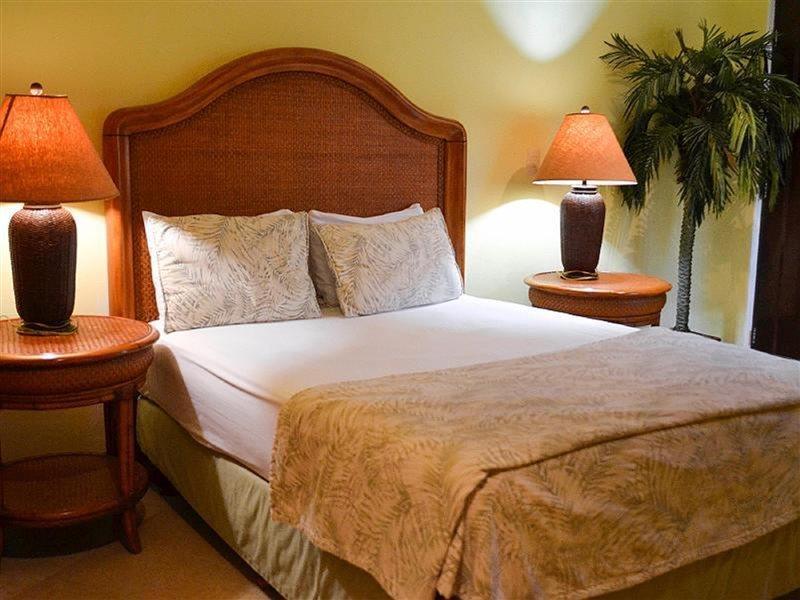 Blue Parrot Suites Playa del Carmen Eksteriør billede