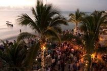 Blue Parrot Suites Playa del Carmen Eksteriør billede