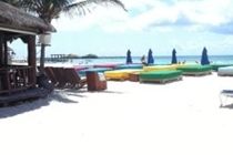 Blue Parrot Suites Playa del Carmen Eksteriør billede